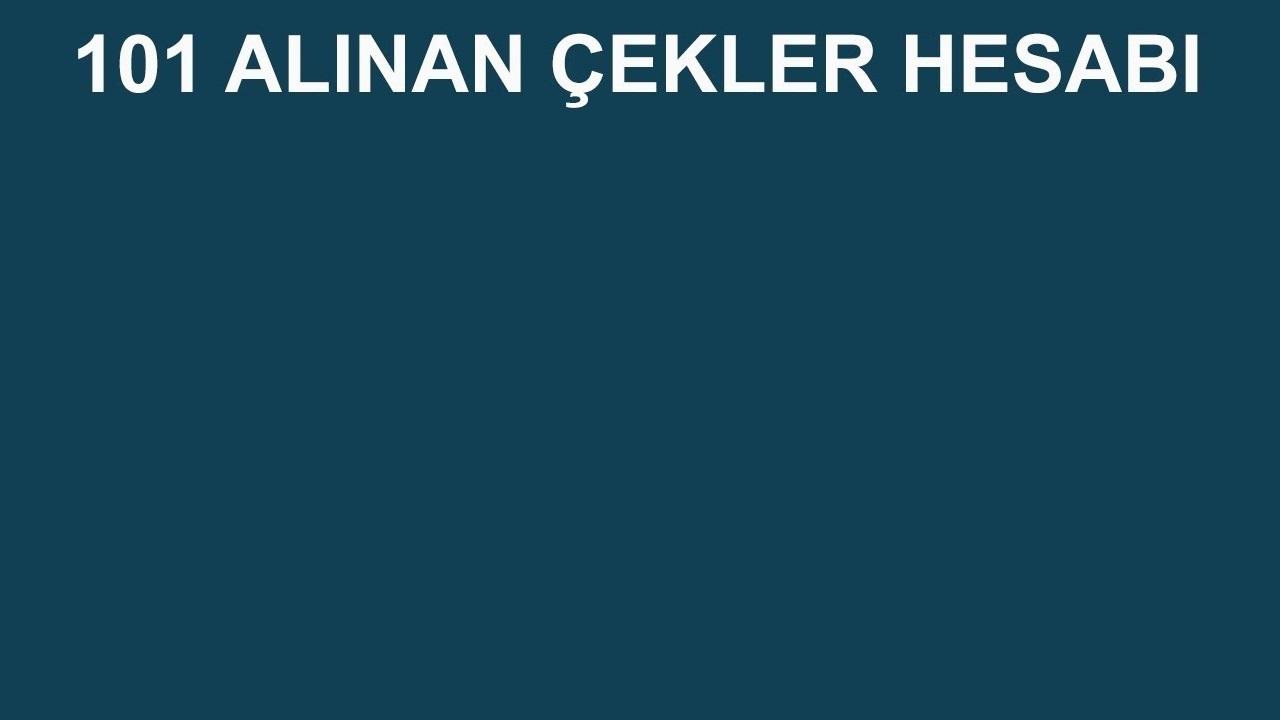 101 Alınan Çekler