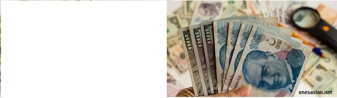 656 Kambiyo Zararları Hesabı